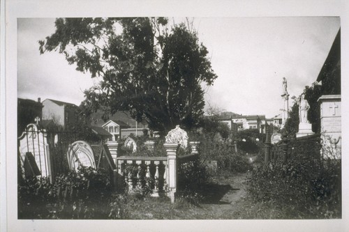 [Graveyard of the Mission Dolores.]