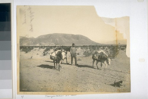 Transportation on Foot [a prospector] C.C. Pierce No. 1410