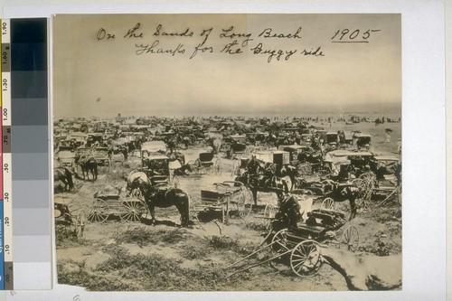 On the Sands of Long Beach "Thanks for the Buggy ride" 190 [Horses and buggies near the beach] C.C. Pierce