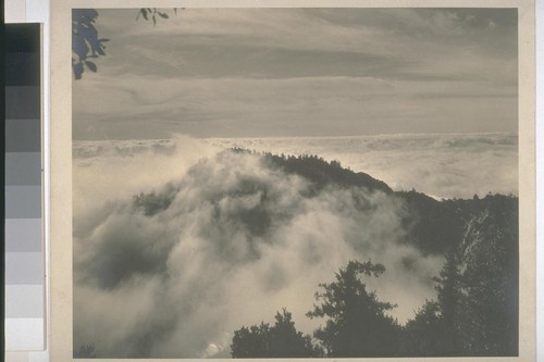 From top of Mount Wilson, California [Fog covered hills]