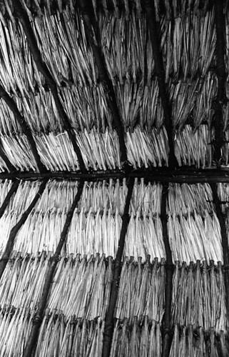 Interior view of a thatched roof, San Basilio de Palenque, 1976