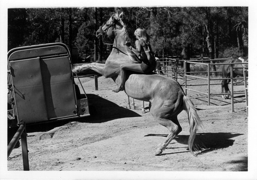 Girl on rearing horse in Cuyamaca Rancho State Park