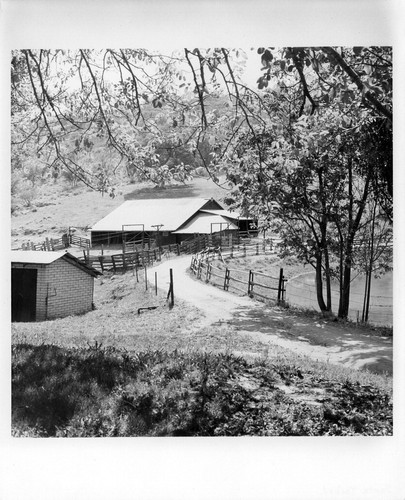 Santa Ysabel Valley farm buildings in Santa Ysabel, CA