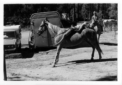 Girl on horseback in Cuyamaca Rancho State Park