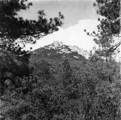 Cuyamaca Peak