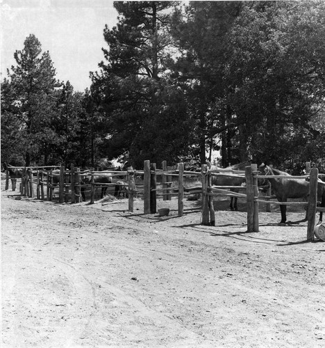 Cuyamaca Rancho State Park Horse Corrals