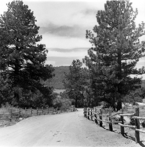 Cuyamaca Park Road w/ Rail Fences