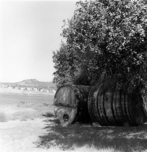 Delphy Corners Winery wine barrels in Vista, CA