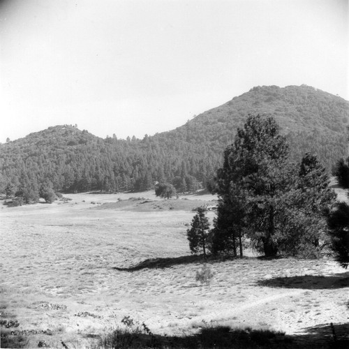 Meadow in Cuyamaca Park