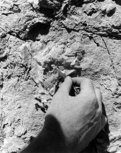 Calcite crystals in Anza Borrego Desert State Park, San Diego County, CA