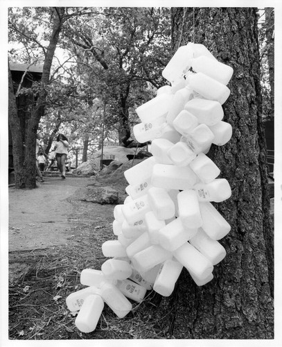 Cuyamaca Park Camp Milk Cartons