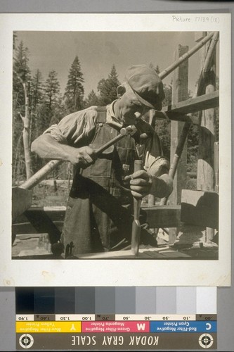 An unemployed cooperator at work on the saw mill