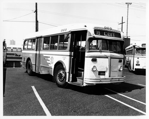 [39 Coit bus in a parking lot with other Muni buses]