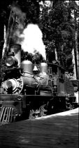 Locomotive #5 at Muir Woods, date unknown