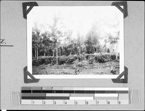 View of the mission station, Kyimbila, Tanzania, 1937