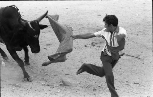 Bullfighter runs away from a bull, San Basilio de Palenque, 1975