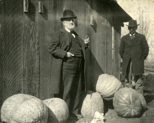 S. Hall and Edward Goodhue Ware with pumpkins, Garden Grove