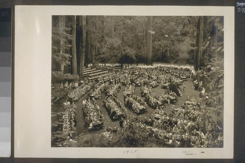 [Bohemian Grove] 1925