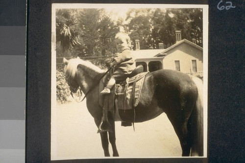 [Baby on horse]