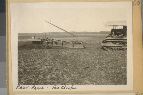 Reavis Ranch - rice checker