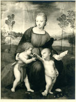 Madonna of the Goldfinch