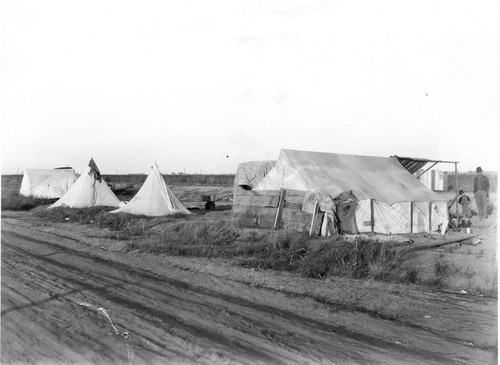 Cotton pickers' camp west of Corcoran