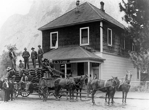 Early bear trap, Yosemite