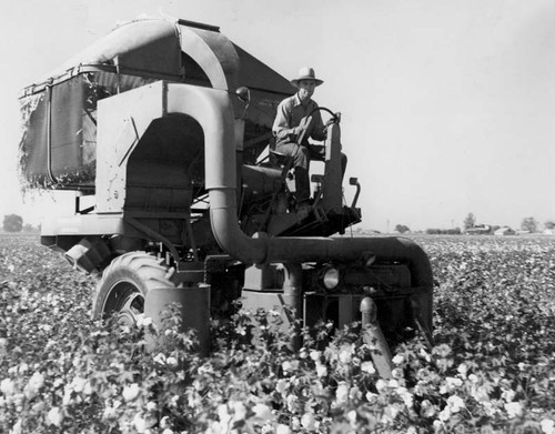 Mechanical cotton picker