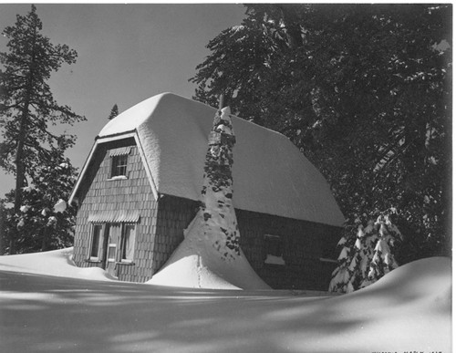 Cabin at Wilsonia, in the Sierra