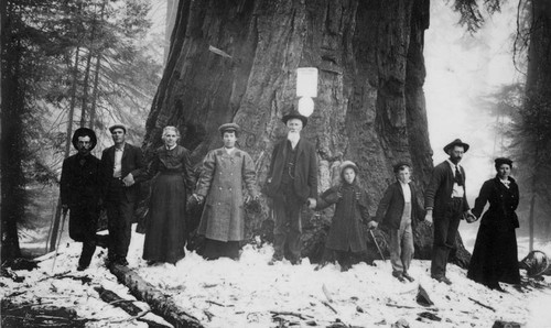 Group in front of giant seqoia