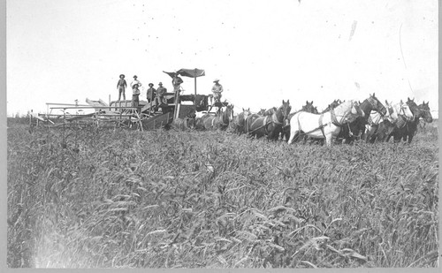 Harvester Crew on T.W. Standart's Huron Ranch