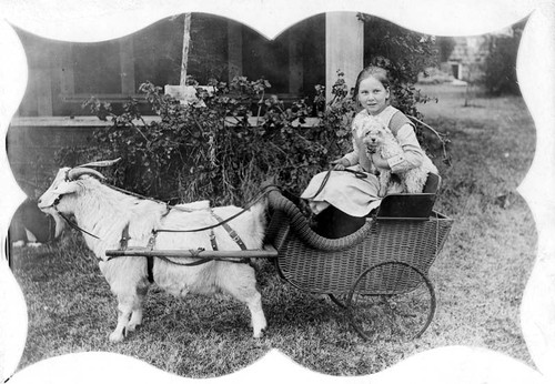 Zoe Claubes and Goat Cart