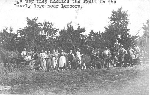 Fruit Picking Crew near Lemoore