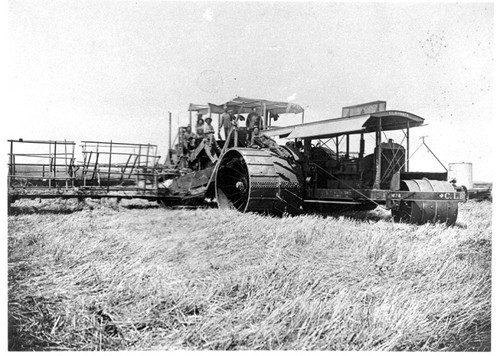 Harvesting in Kings County