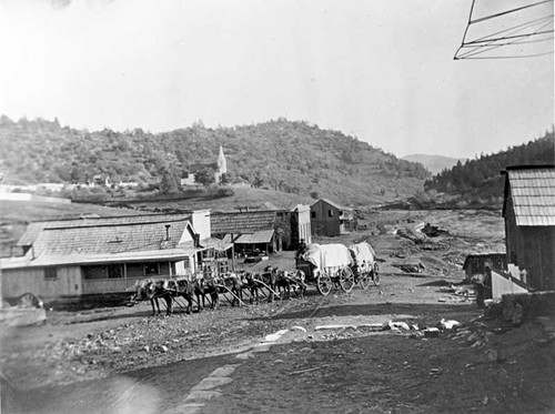 John Gilmore and horse team, Mariposa, 1879