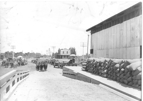 Hauling Grain to Corcoran Station