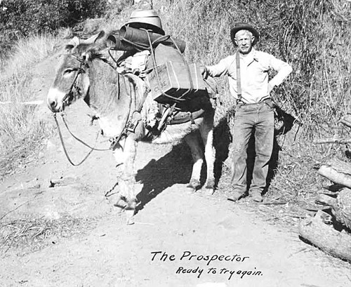 Charley Wallace, prospector