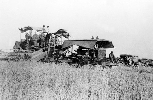 Preparing to harvest grain