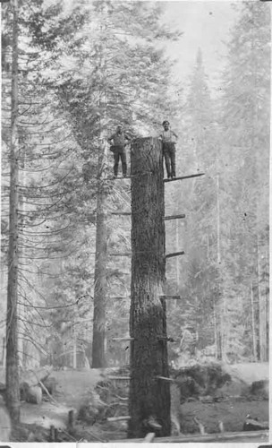 Making logging chutes at Soquel