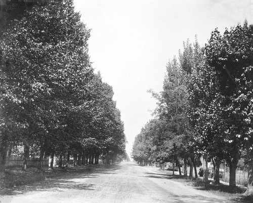 H Street in Tulare