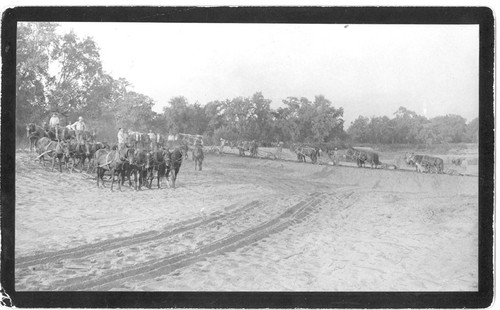 Building Sand Dam on Last Chanoe Ditch, Kings County