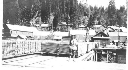 Unknown lady at lumber yard in sugar pine