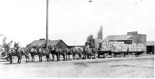 Hauling hay bales in Corcoran