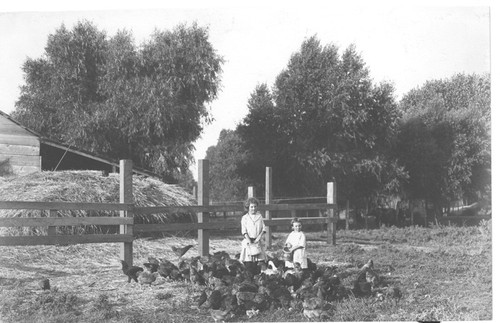 Children Feeding Chickens, Kings County