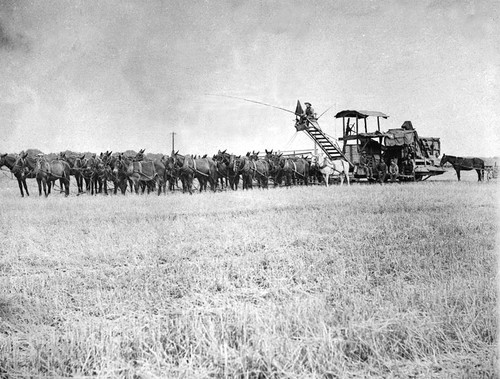 Threshing Crew