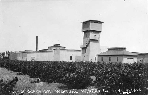 Part of our plant Wahtoke Winery Co Reedley California