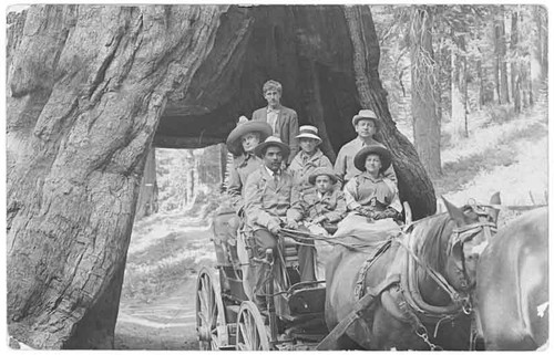 Tourists at Wawona Tunnel Tree