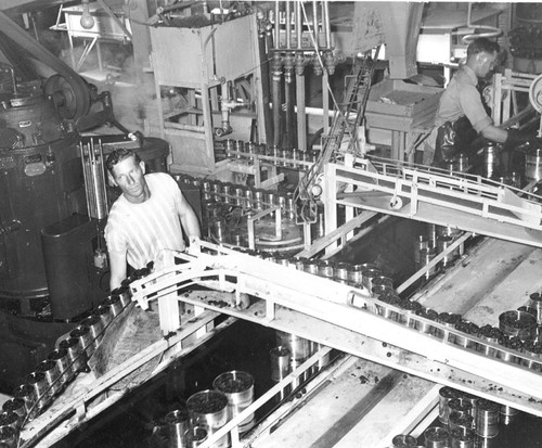 Conveyor belt for canning berries