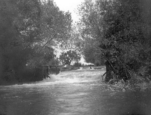 Tulare Canal