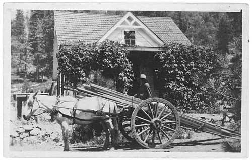 Bruce homestead, Wawona